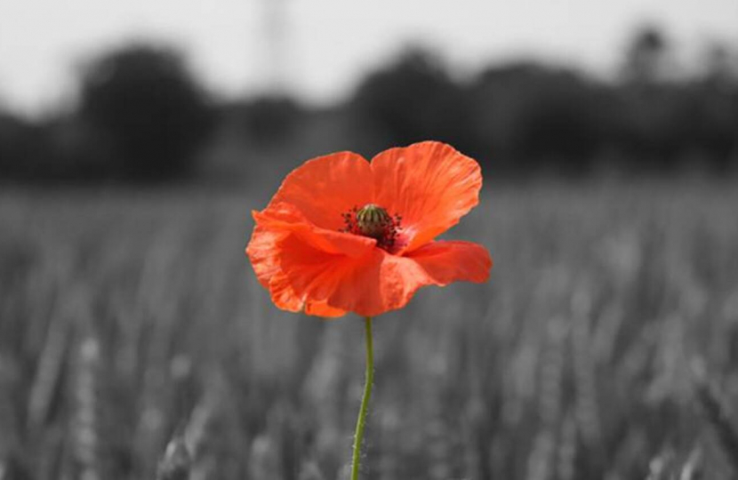 We Will Remember Them.